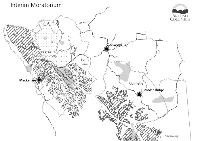 caribou moratorium.JPG
