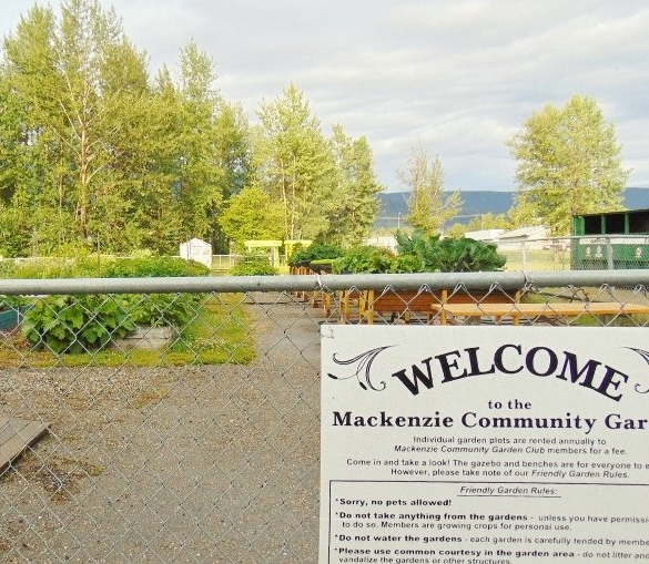 Community Garden (2)