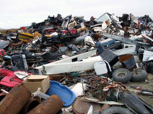 landfill foter Travis S.